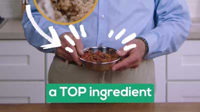 Itzel Ohannessian - DMP_NatueFeast_Ad_CatSawdust_4x5 - Dr. MARTY